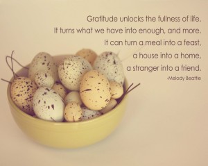 gratitude-quotes-1024x819